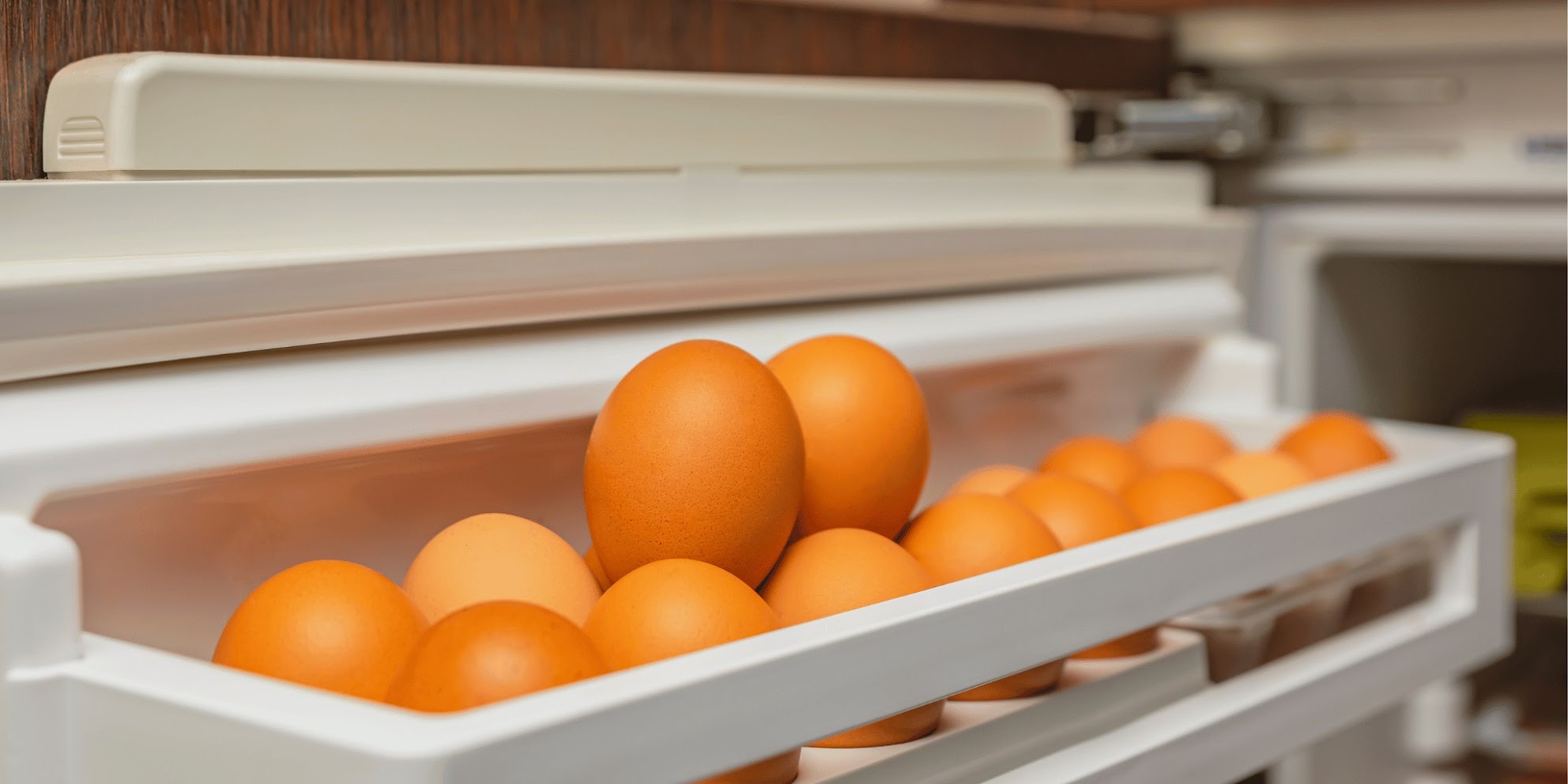egg